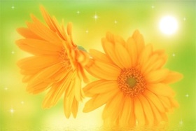 colour1