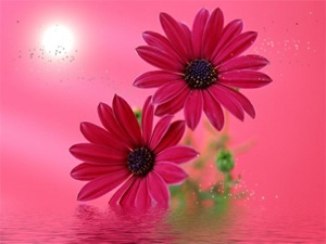 colour3